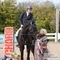 Equiyd National Amateur Second Rounds at Chard Equestrian and South View